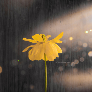 国产精品一品二区三区牛牛
